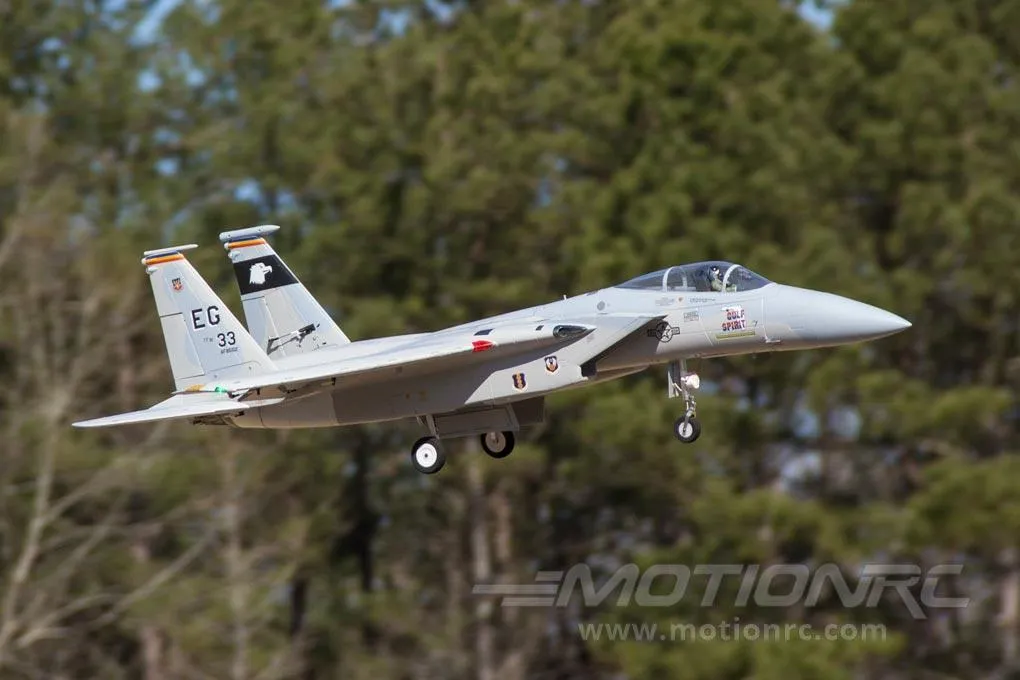 Freewing F-15C Eagle Super Scale 90mm EDF Jet - ARF PLUS