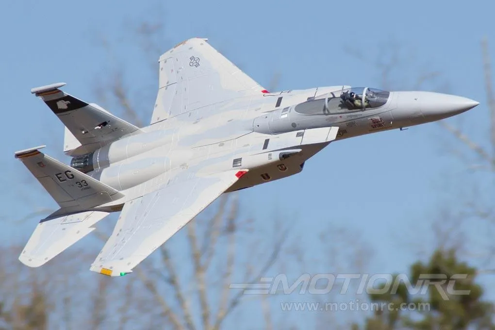 Freewing F-15C Eagle Super Scale 90mm EDF Jet - ARF PLUS