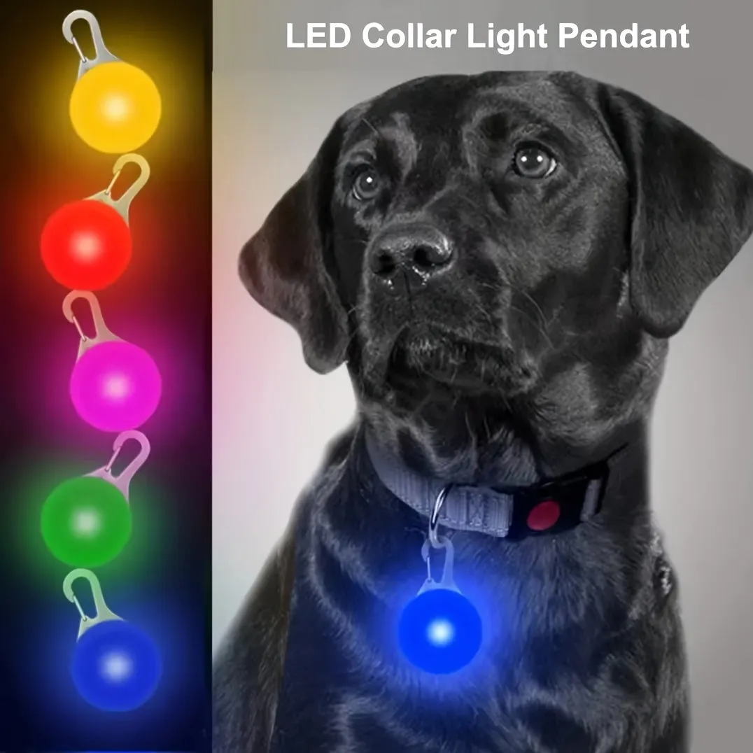 Nighttime Safety LED Pendant for Dogs Flashing Pet Tag