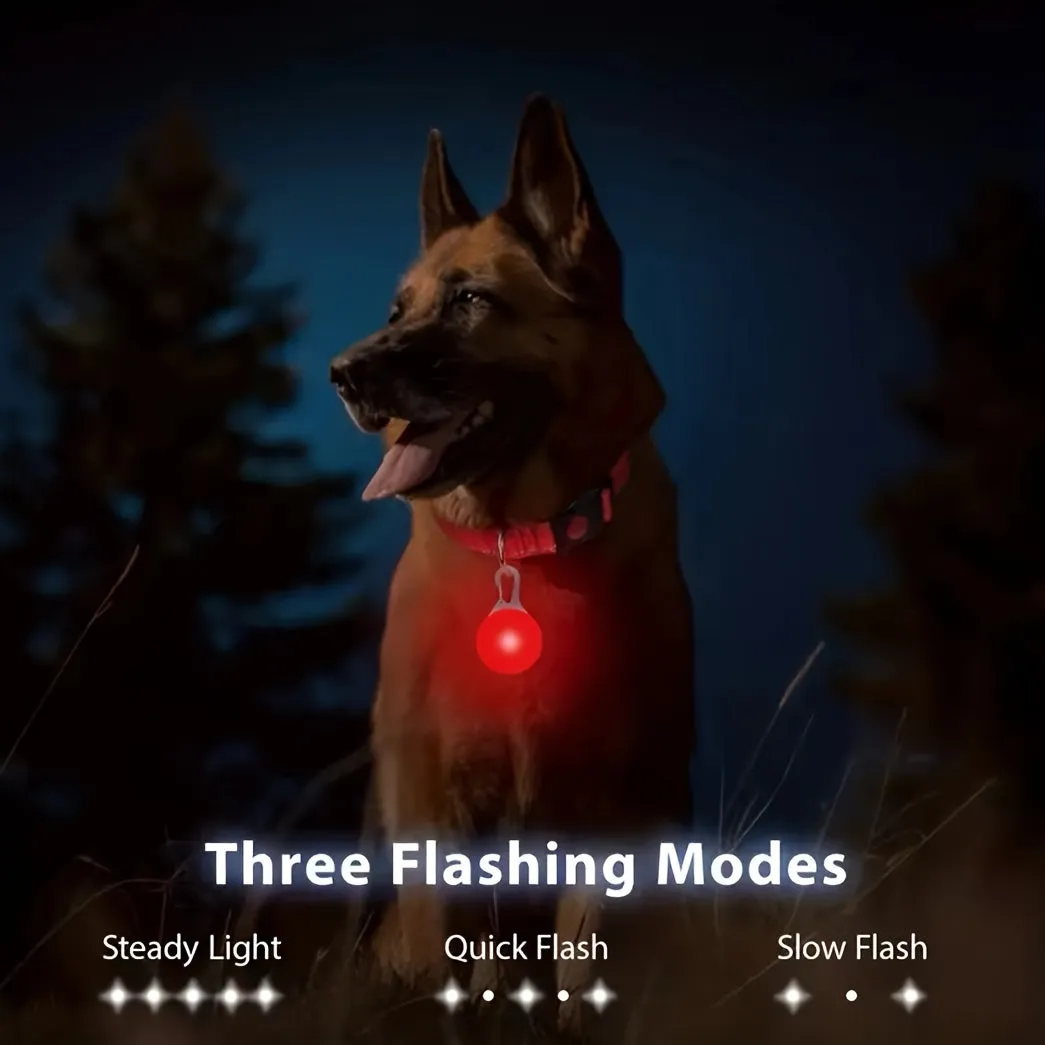 Nighttime Safety LED Pendant for Dogs Flashing Pet Tag
