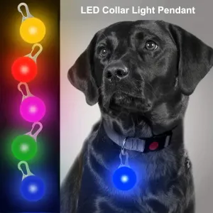 Nighttime Safety LED Pendant for Dogs Flashing Pet Tag