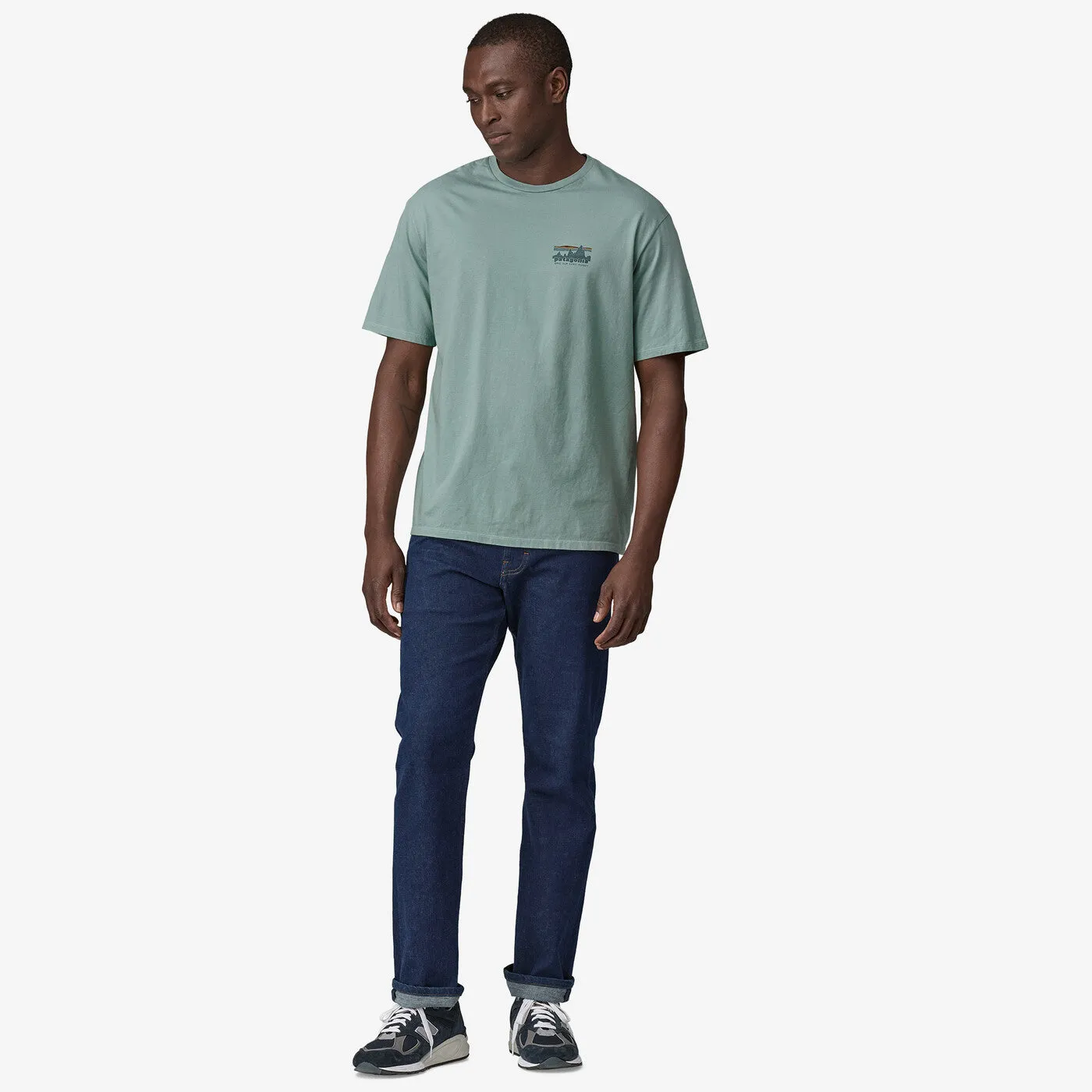 PATAGONIA Men's '73 Skyline Organic T-Shirt Thermal Blue